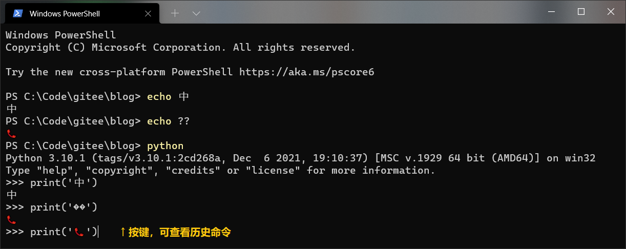 Windows Terminal