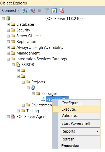 Execute SSIS